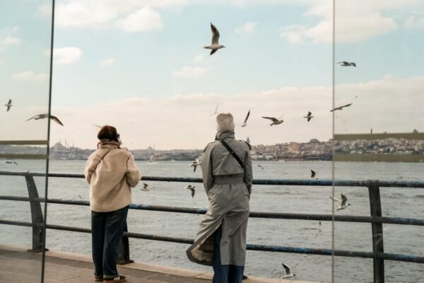 What free birdwatching spots are in Istanbul?