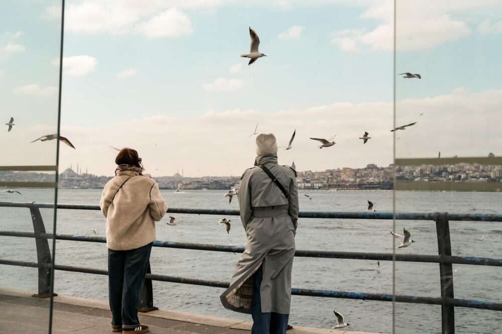 What free birdwatching spots are in Istanbul?