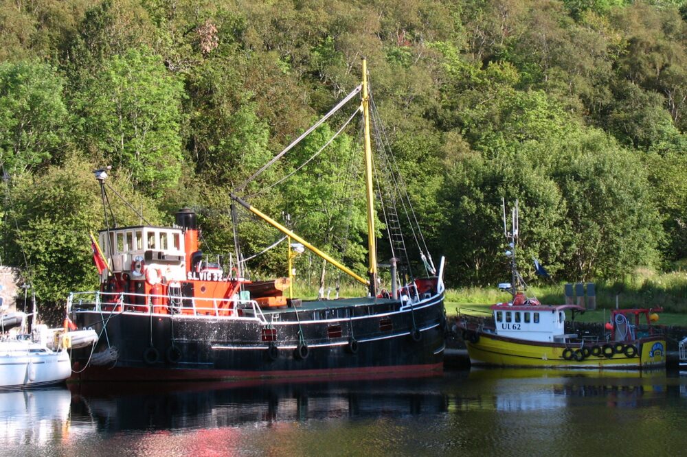 What free boat trips are from Beşiktaş?