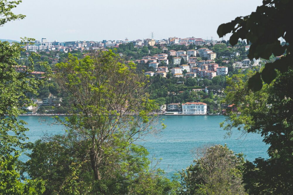 What free nature reserves are near Istanbul?