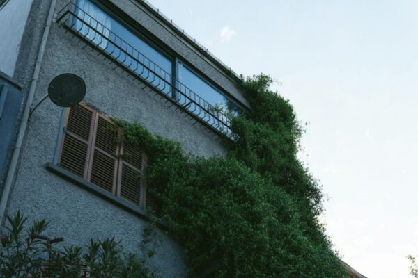 What is the Maison Kammerzell?