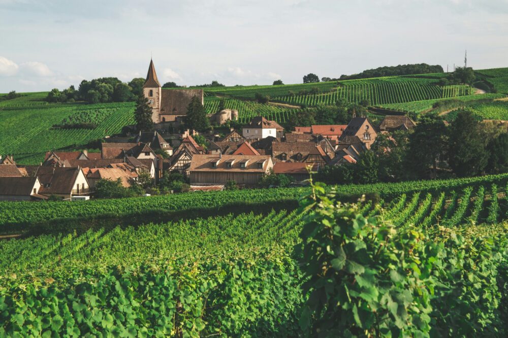 What is the Route des Vins d'Alsace?