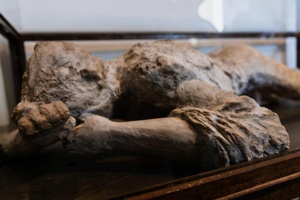 What is the Toulouse-Lautrec Museum?