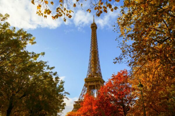 What to do in Paris in November?