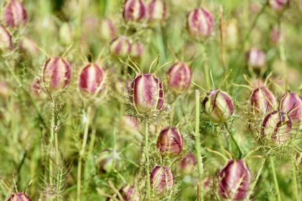 What to wear in Paris in November?
