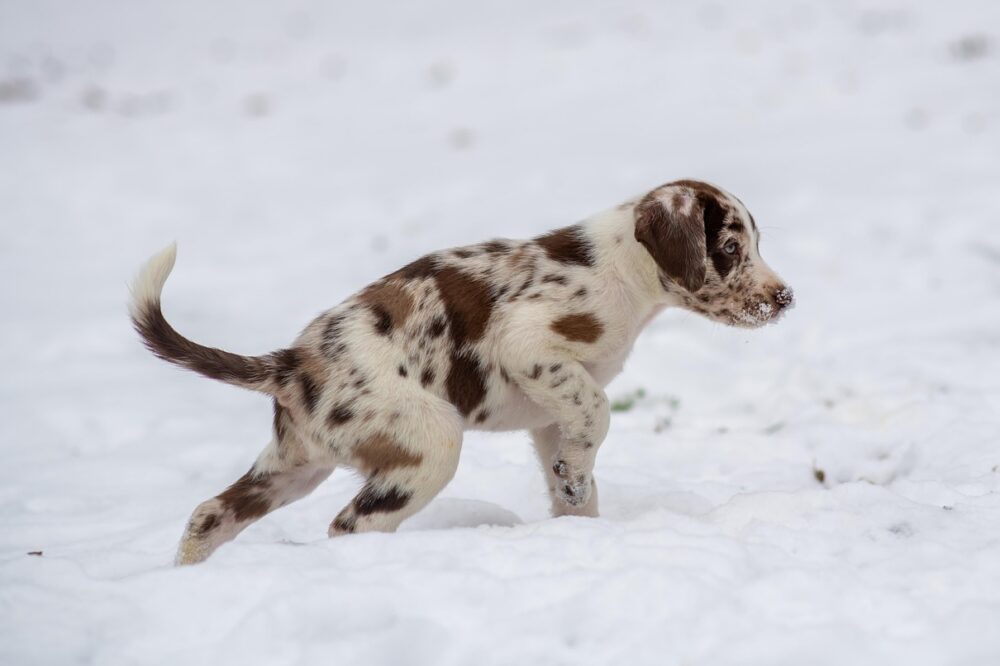 Where to stay in London on a budget in 2026?