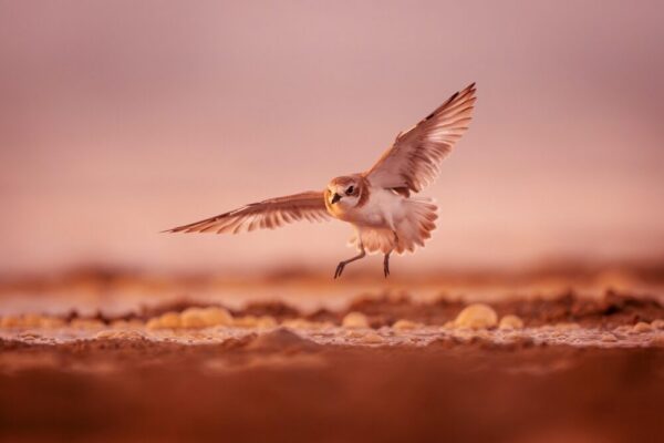 Where to watch the sunset for free in Istanbul?