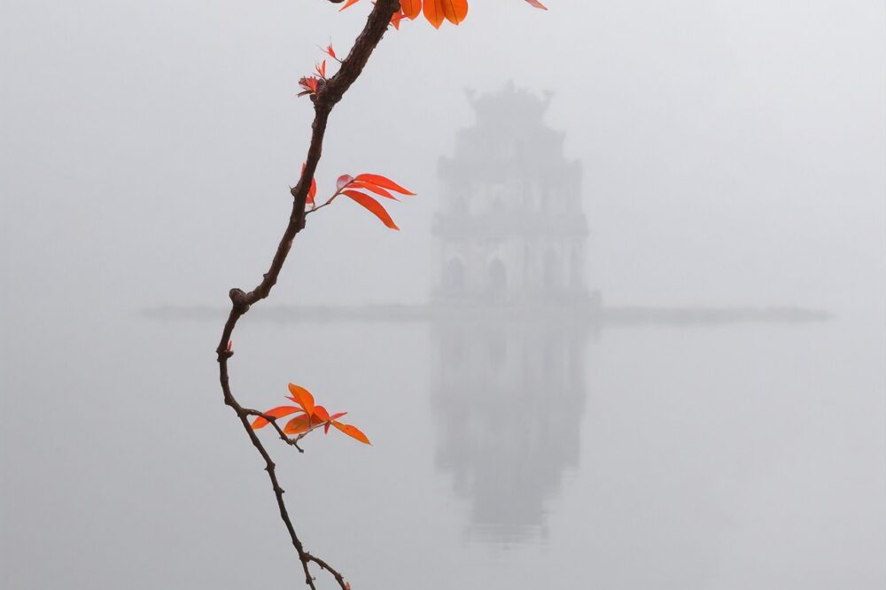 Which French city has the best diving spots?