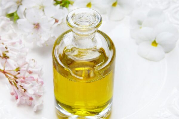 Which French city is best for a perfume workshop?