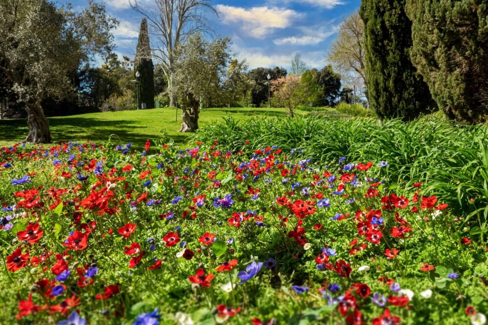 Are there any flower festivals in Barcelona in spring?