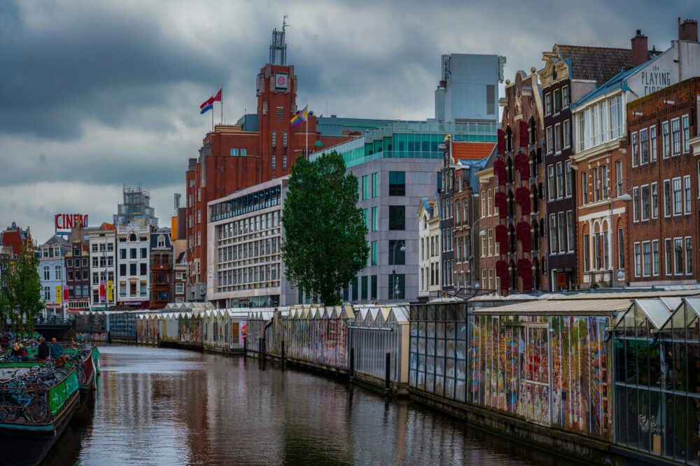 Are there English-taught bachelor's programs at Vrije Universiteit Amsterdam?