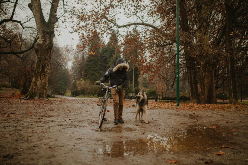 Best indoor activities in Paris for a rainy day with a dog