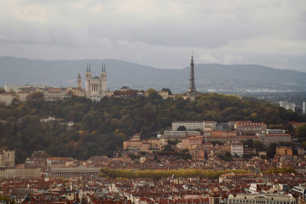 Best restaurants in Lyon for a business dinner in 2026
