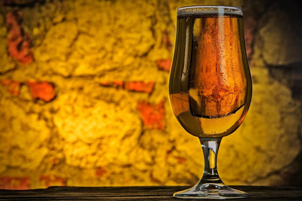 Best restaurants in Nice France for a Dutch diet 2026