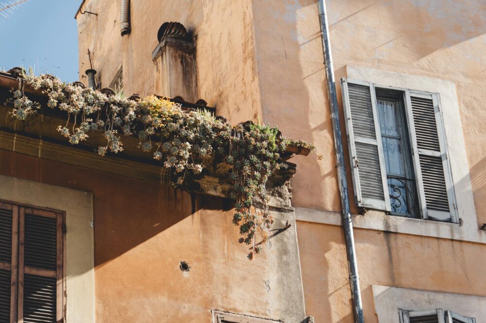 Best restaurants in Rome for a raw food diet 2026