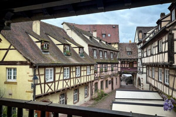 Best restaurants in Strasbourg for a ratatouille 2026