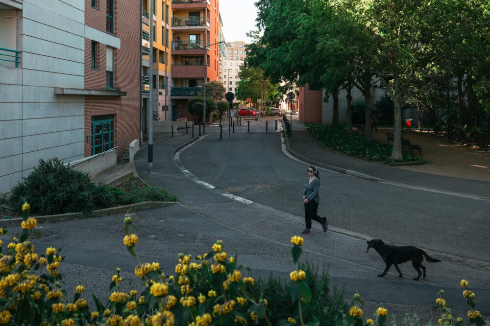 Budget hotels in Toulouse with a pet-friendly policy