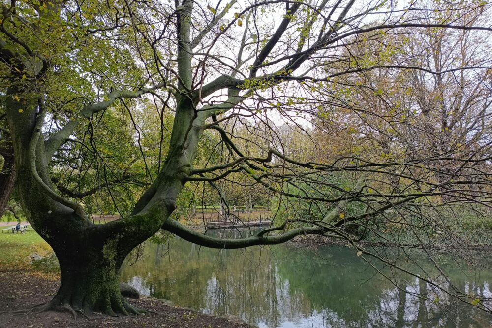 Can you visit the Boboli Gardens in the rain?