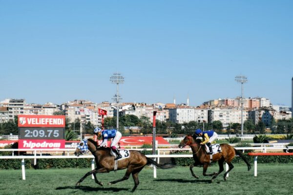 How competitive is admission to Tor Vergata?
