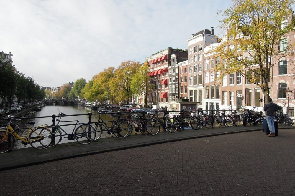 How do I apply for a bachelor's program at Vrije Universiteit Amsterdam?