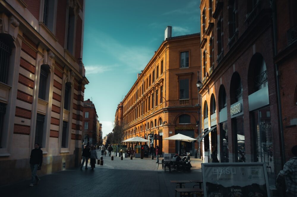 How do I borrow books from the university library in Toulouse?