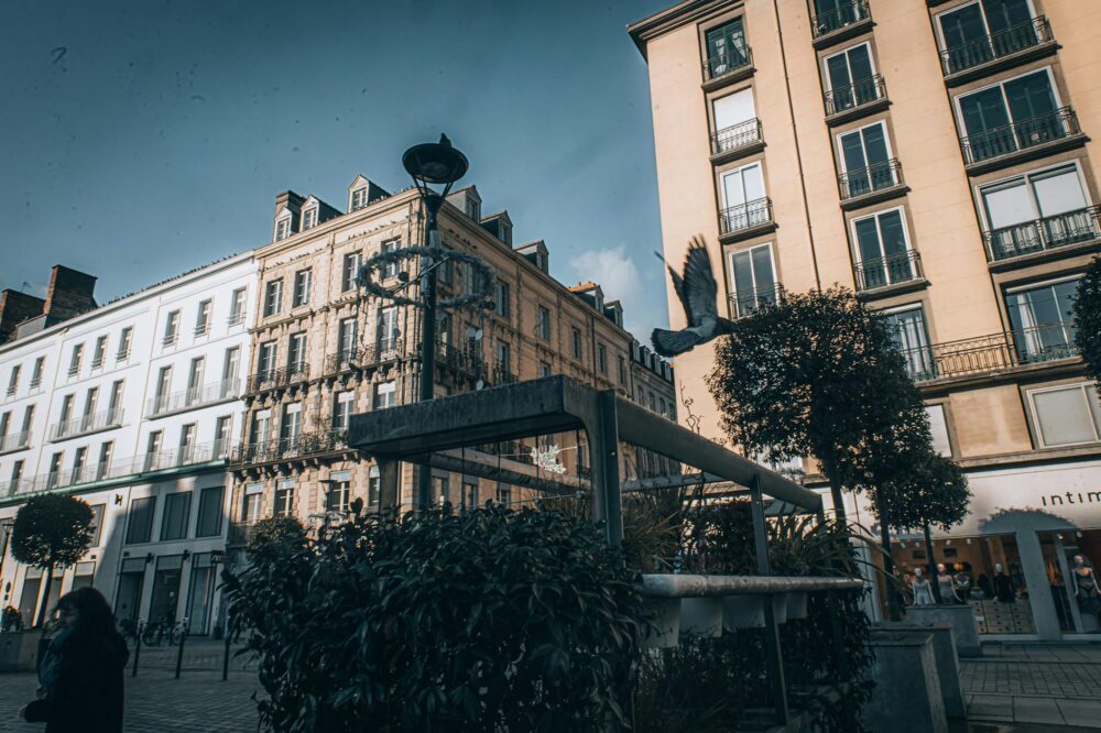 How do I request a transcript from a Toulouse university?