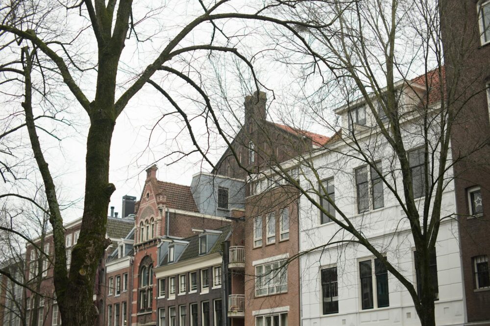 How to find cheap hotels in Amsterdam in the Oud-West neighborhood?