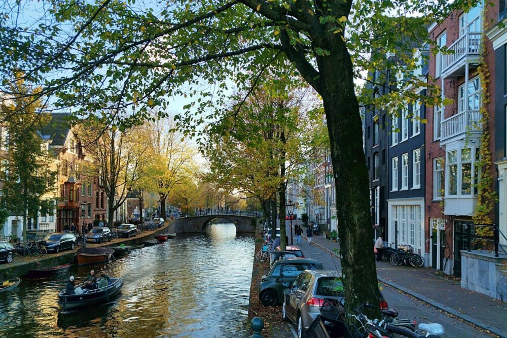 How to find cheap hotels in Amsterdam in the Westerpark area?