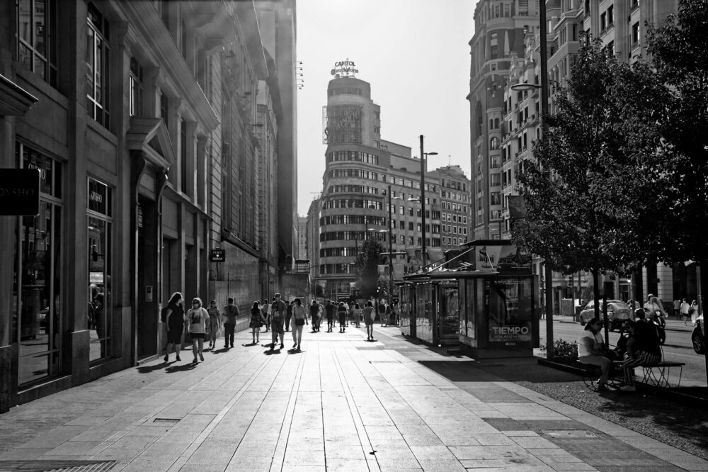 How to find pet-friendly hotels in Madrid?