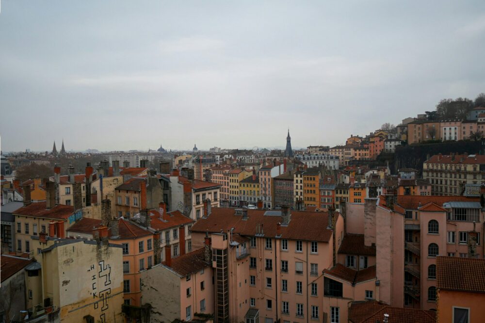How to find vegetarian or vegan food in Lyon?