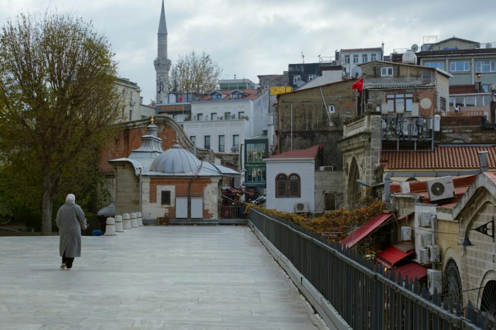 How to get a transcript from an Istanbul university?