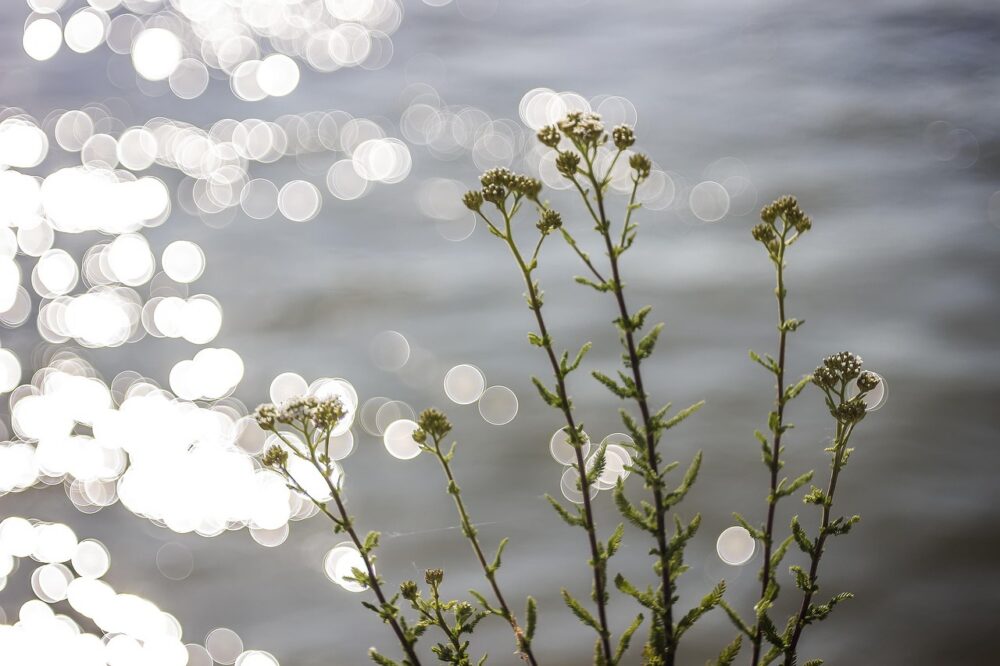 How to visit Lake Van?