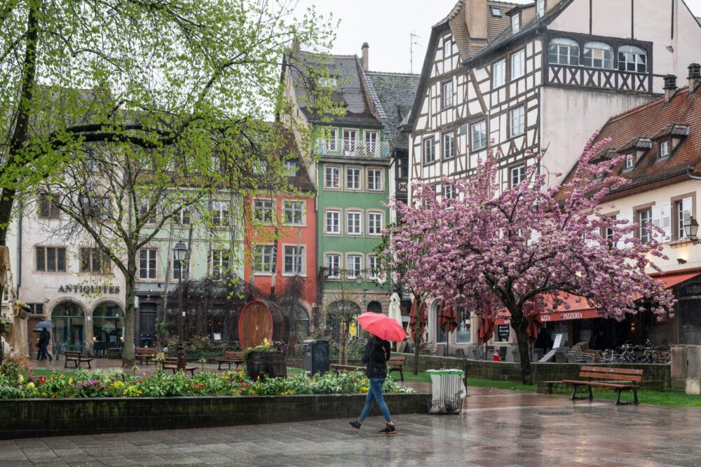 Top cafes in Strasbourg with a garden in 2026