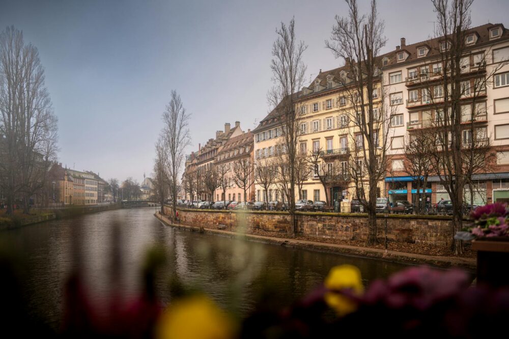 Top seafood restaurants in Strasbourg for 2026