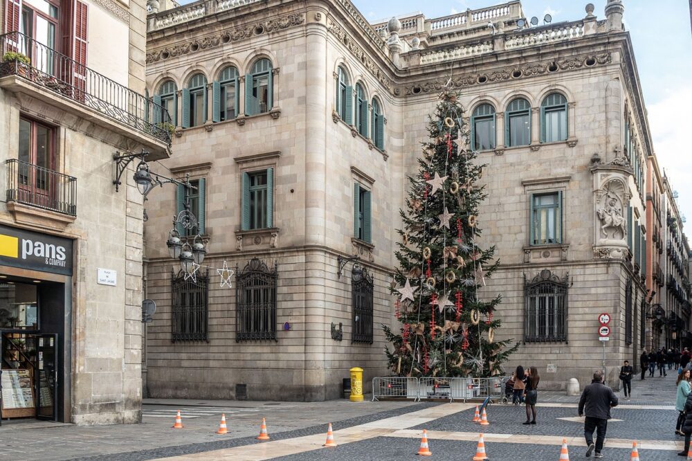 What are the admission requirements for University of Barcelona?