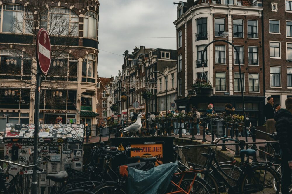 What are the best 5 star hotels in Amsterdam for a staycation?