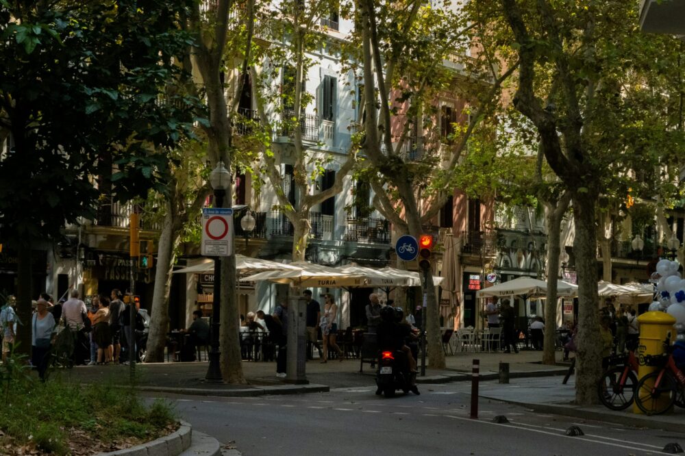 What are the best 5 star hotels in Barcelona with a library?