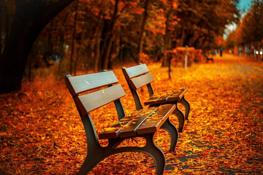 What are the best autumn film festivals in Paris?