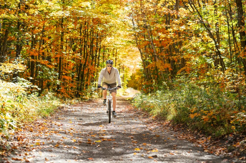 What are the best bike routes in Toulouse?