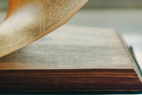 What are the best books about Montpellier in 2026?