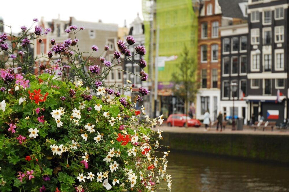 What are the best budget hotels in Amsterdam for a weekend getaway?