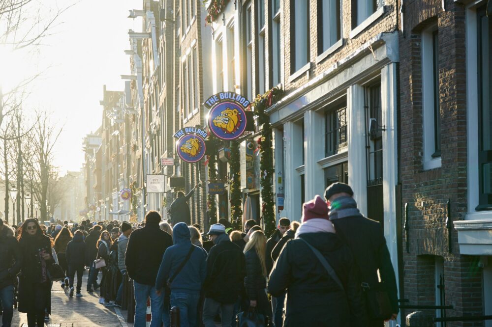 What are the best cafes in Amsterdam for a working lunch in 2026?
