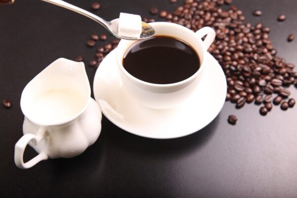 What are the best cafes in Florence for a coffee break in 2026?