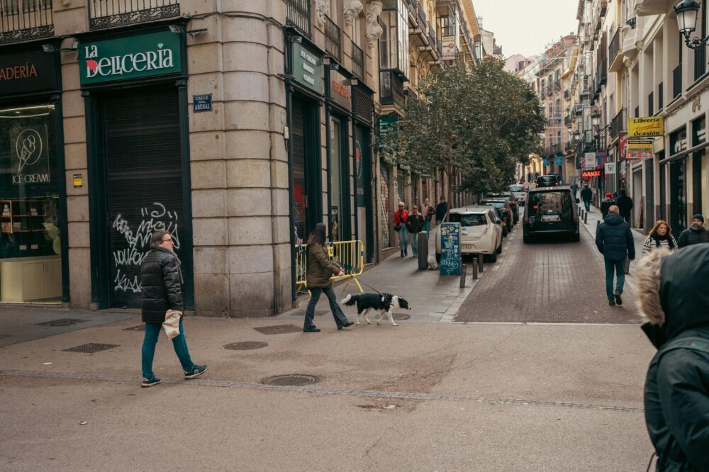 What are the best cafes in Lyon?