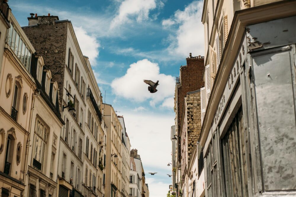 What are the best cafes in Paris for a quiet afternoon in 2026?