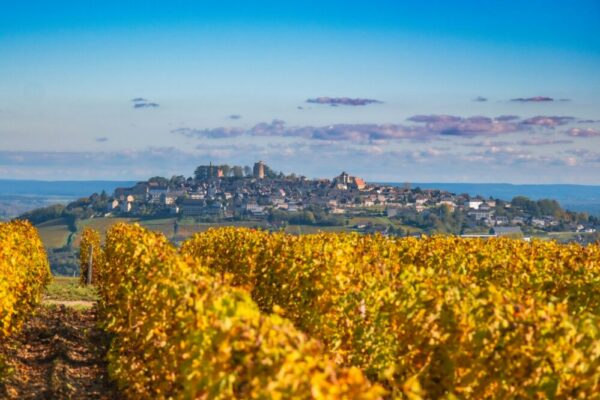 What are the best cities in France for a food and wine tour?