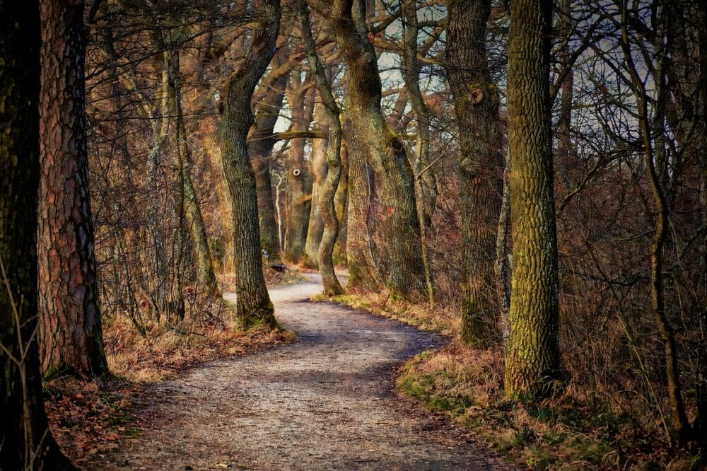 What are the best hiking trails near Barcelona in spring?