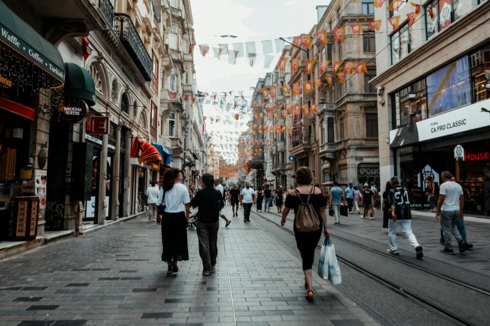 What are the best hotels in Istanbul for solo travelers with pets?