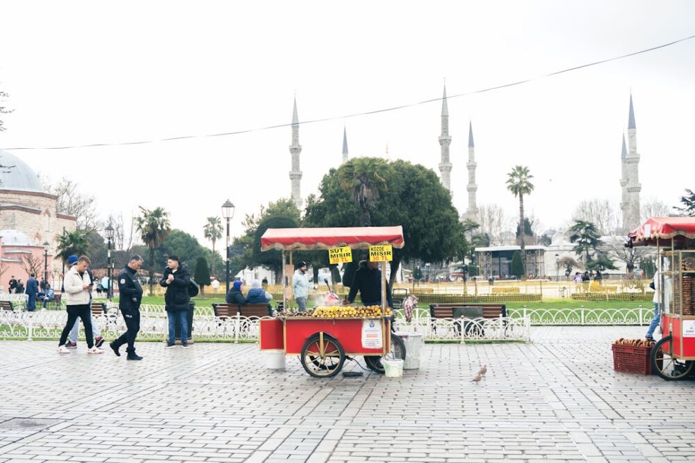 What are the best hotels in Istanbul near Blue Mosque?