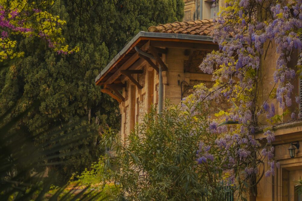 What are the best hotels with a casino in Montpellier in 2026?